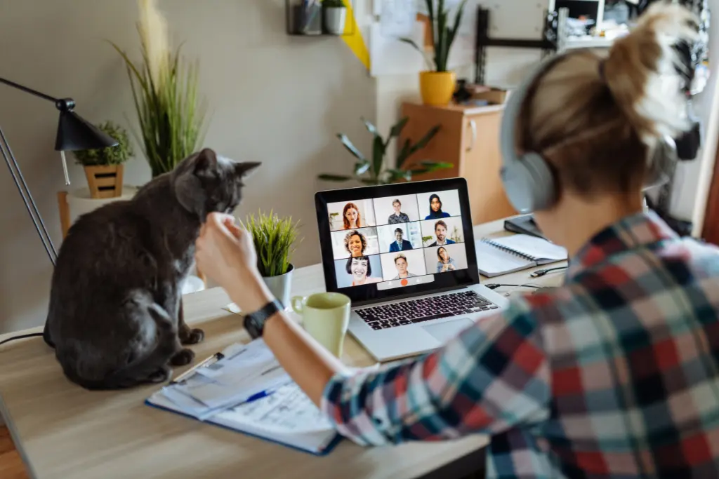 Employee working from home. They are sat at their desk on a video call whilst stroking their cat which is sitting on the desk.